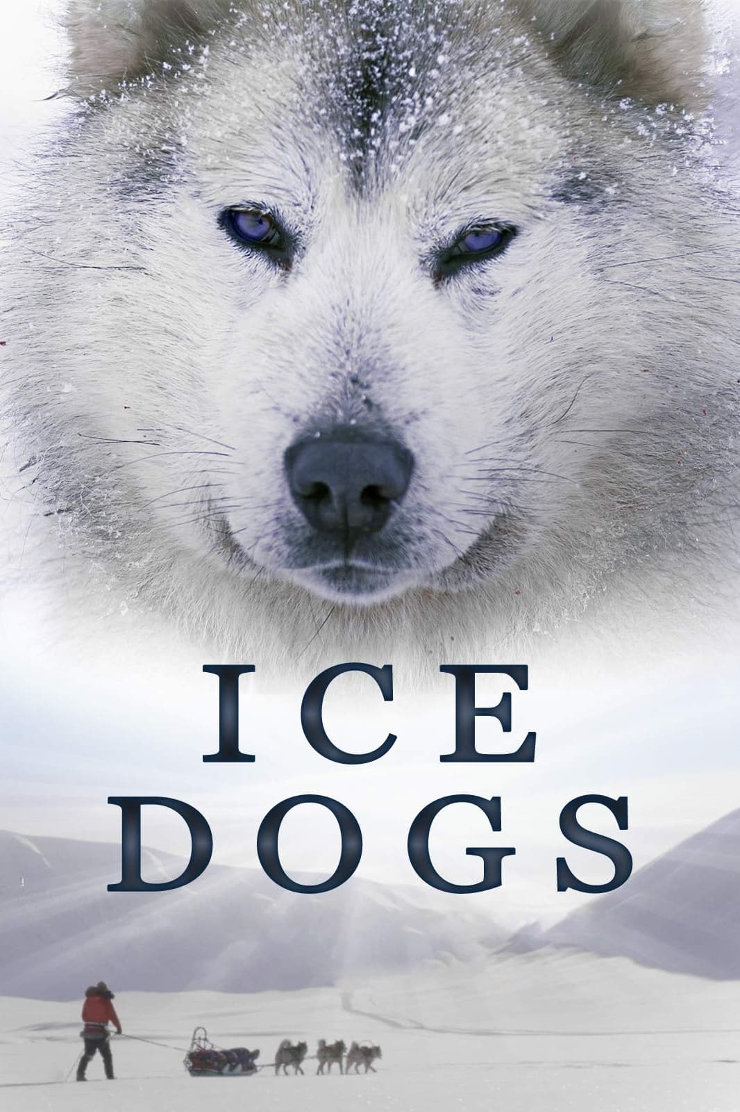 Собаки во льдах (2016)