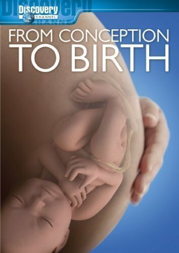 From Conception to Birth (2005)